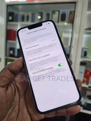 Apple iPhone 13 Pro 256 GB Gray