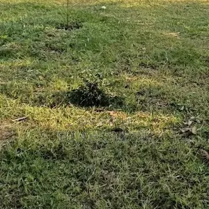Prime Plots for Sale,0.07Ha at 850k, Near Chiga Police Station