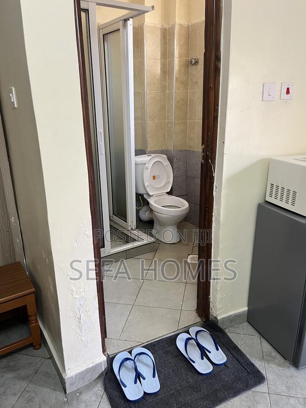 Spacious Studio Airbnb in Ruaka Joyland - thumbnail 7