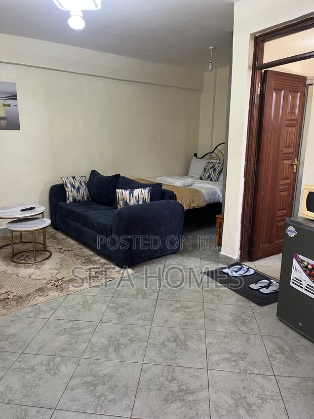 Spacious Studio Airbnb in Ruaka Joyland - main view