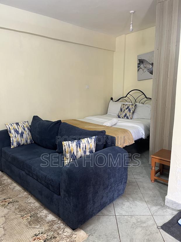 Spacious Studio Airbnb in Ruaka Joyland - thumbnail 4