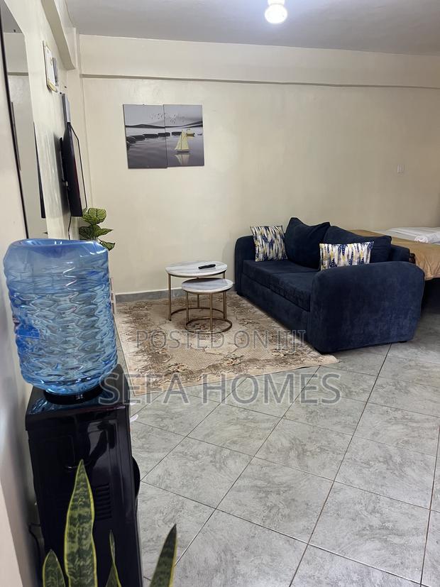 Spacious Studio Airbnb in Ruaka Joyland - thumbnail 2