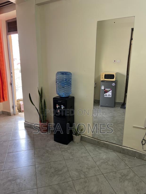 Spacious Studio Airbnb in Ruaka Joyland - thumbnail 9