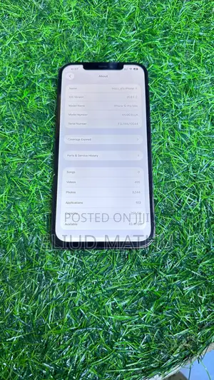 Apple iPhone 12 Pro Max 256 GB Blue