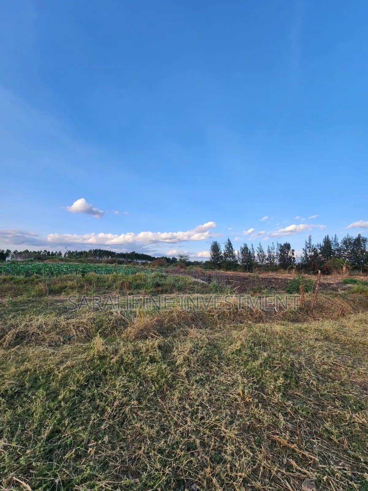 Plot for Sale