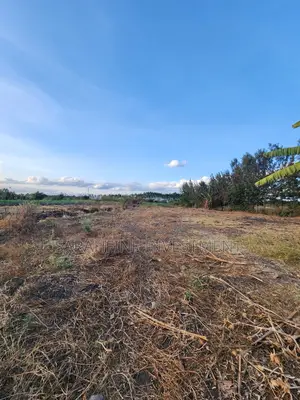 Plot for Sale