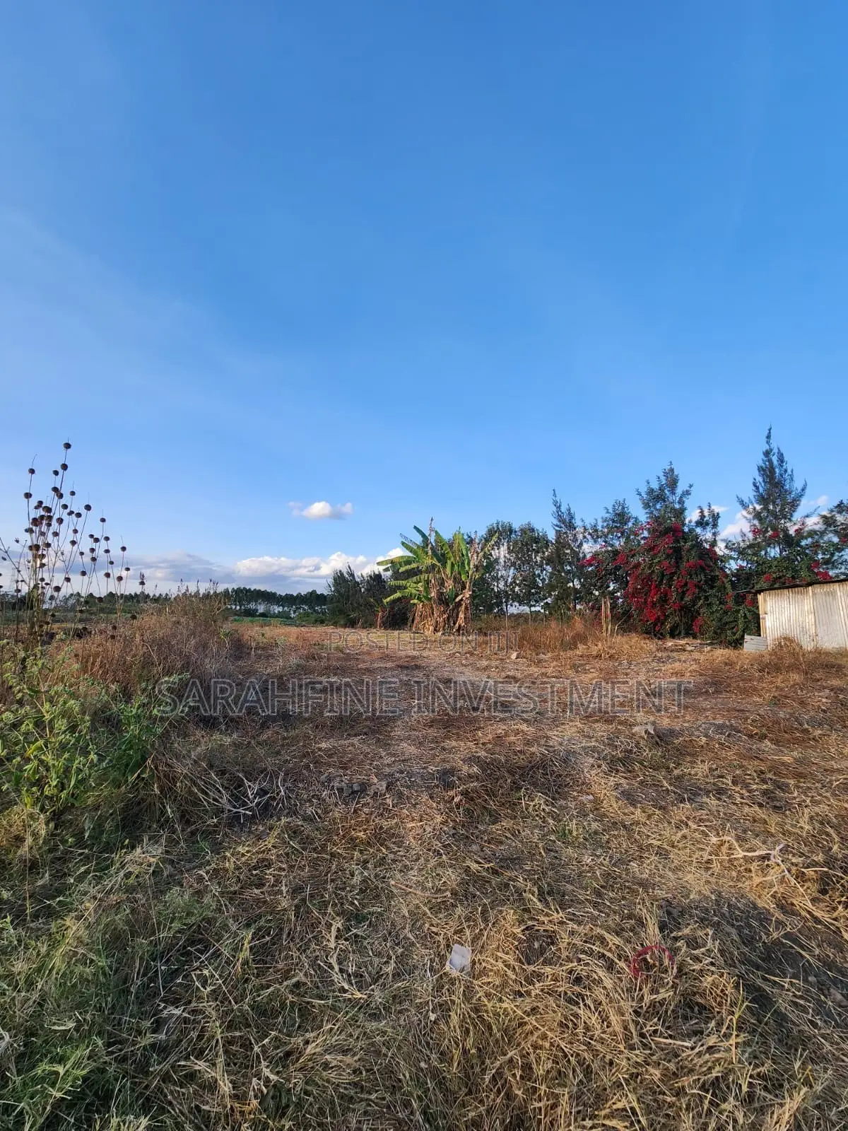 Plot for Sale