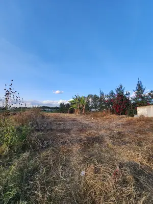 Plot for Sale
