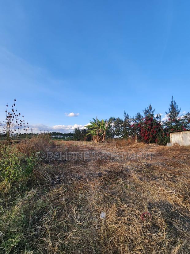 Plot for Sale