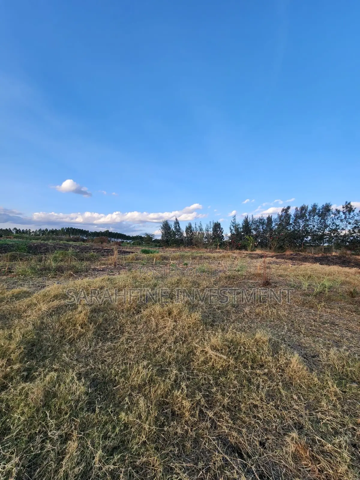 Plot for Sale