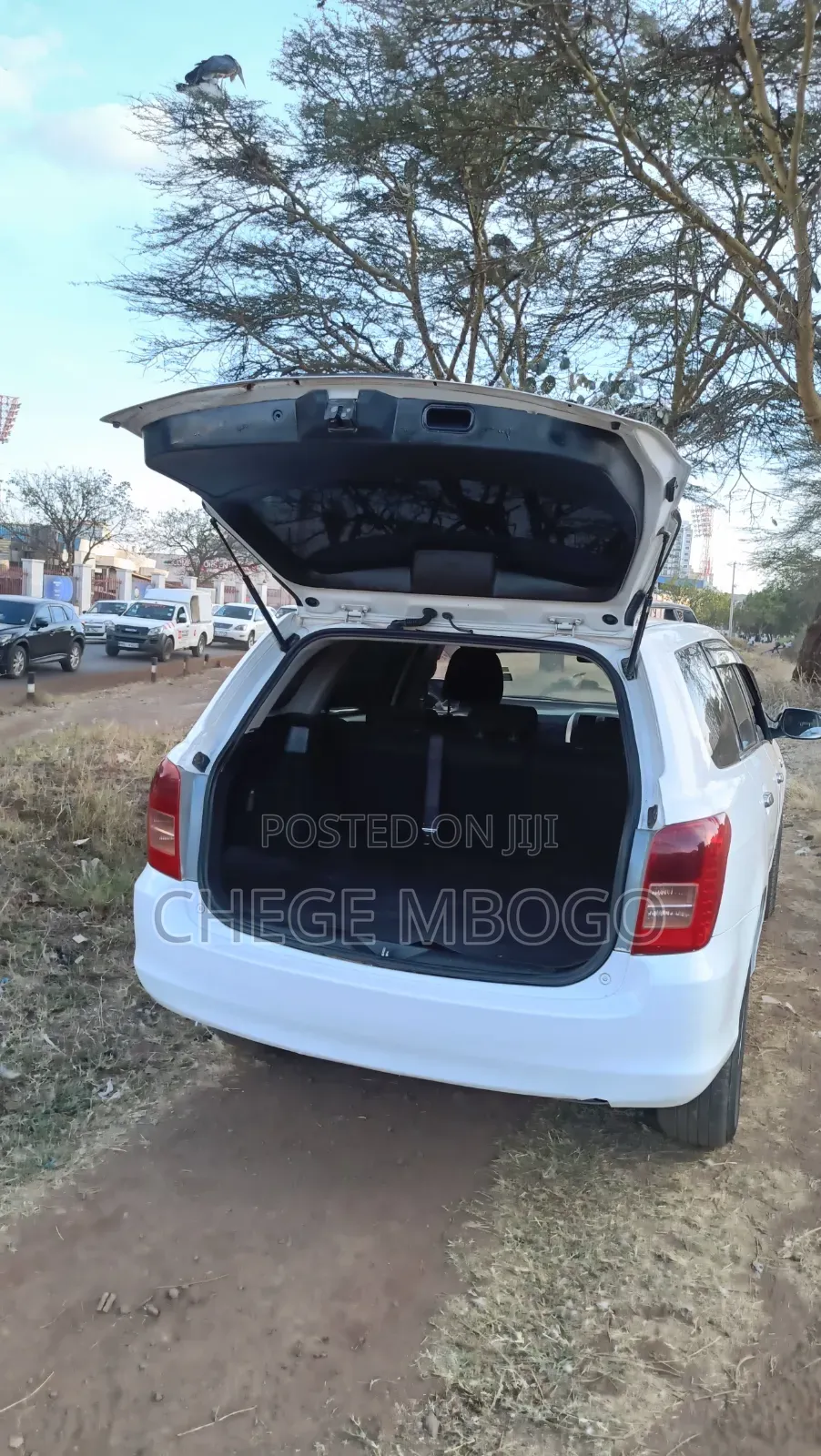 Toyota Corolla Fielder 2008 White