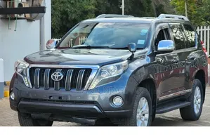 Toyota Land Cruiser 2015 Gray
