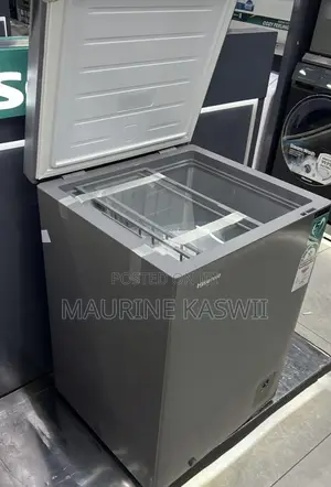 Hisense Mini Freezer 136l Inverted