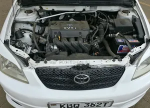 Toyota Allex 2004 Pearl