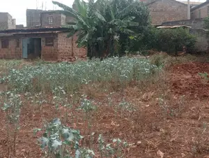 Githurai 44 100 by 100 Commercial Plot