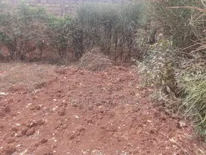 Githurai 44 100 by 100 Commercial Plot