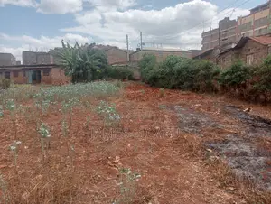 Githurai 44 100 by 100 Commercial Plot