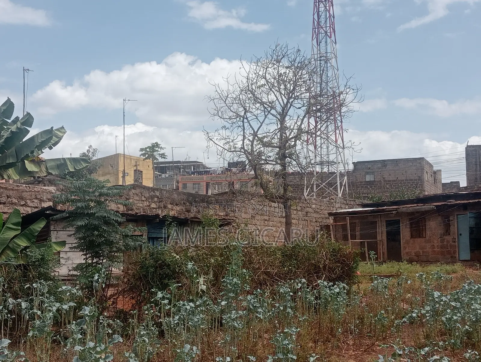 Githurai 44 100 by 100 Commercial Plot