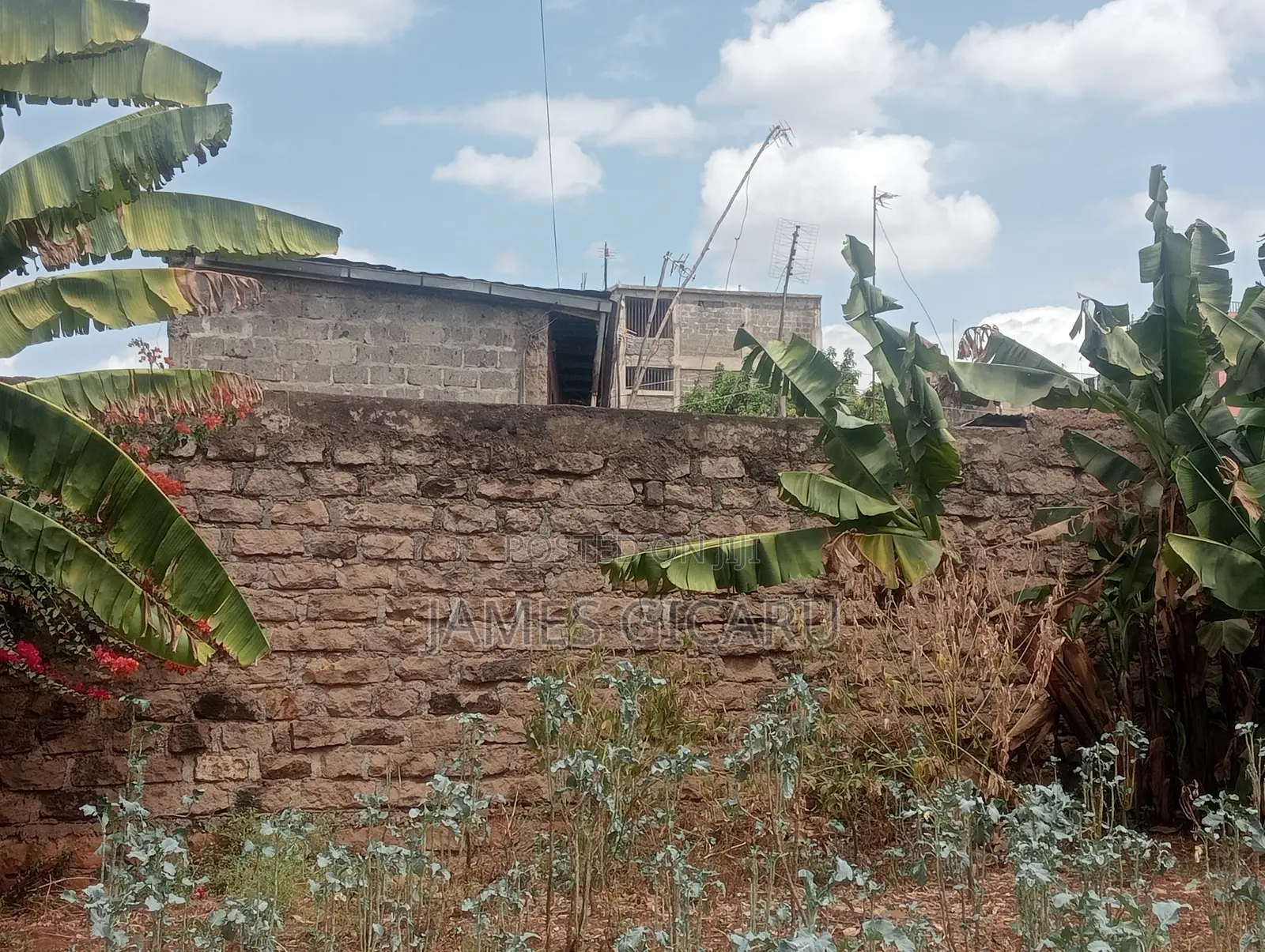 Githurai 44 100 by 100 Commercial Plot