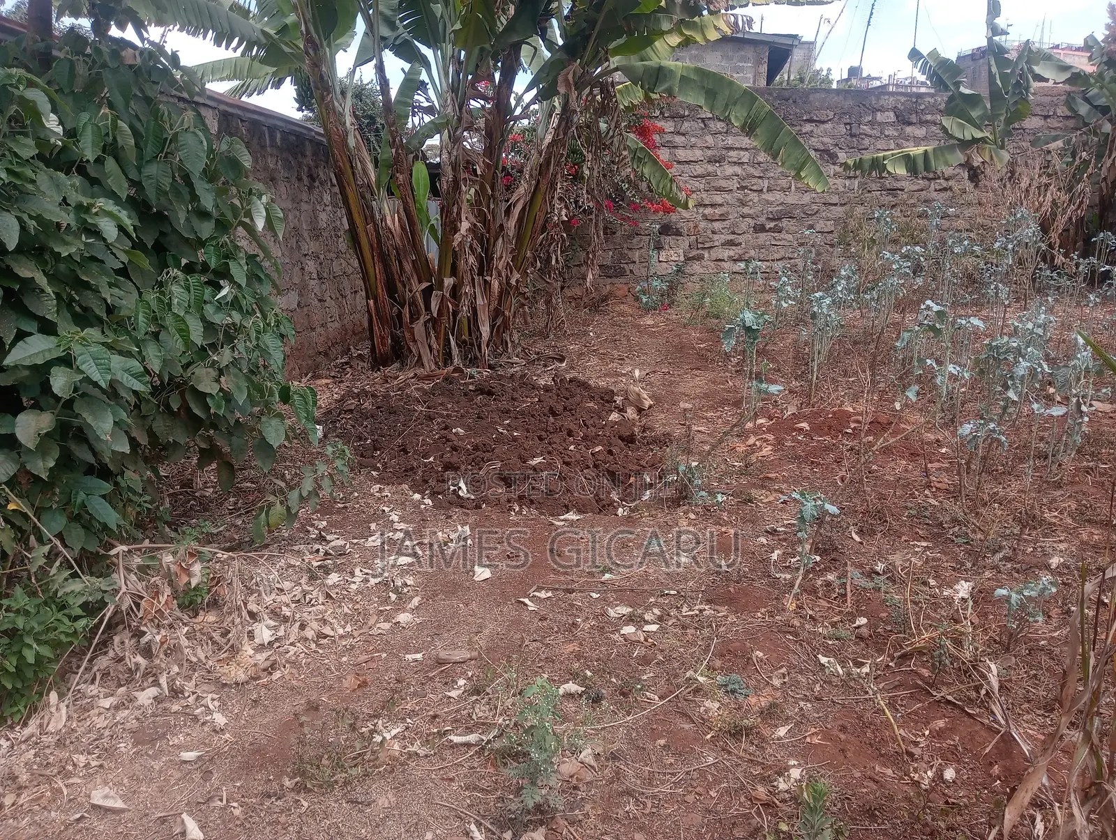 Githurai 44 100 by 100 Commercial Plot