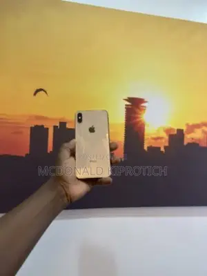 Apple iPhone XS Max 256 GB Silver