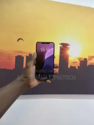 Apple iPhone XS Max 256 GB Silver