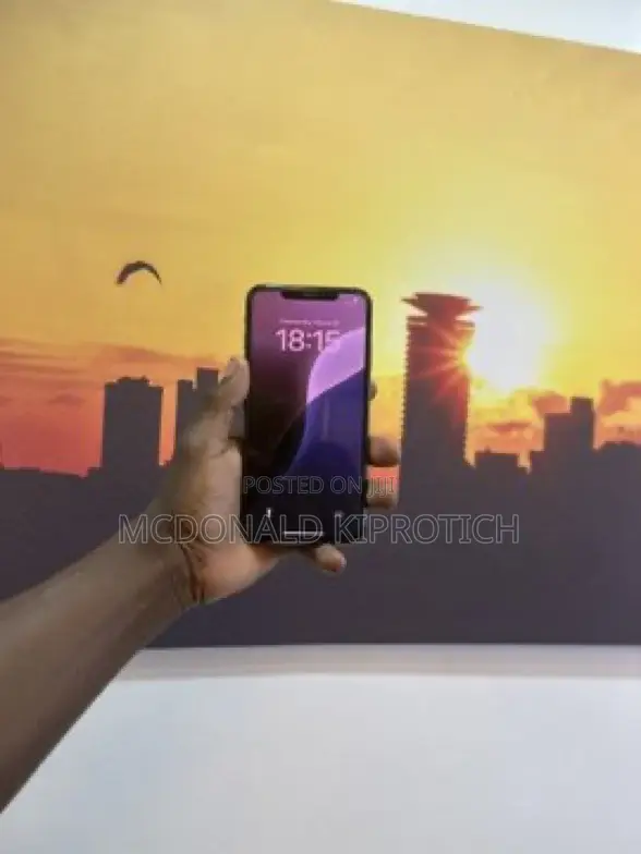 Apple iPhone XS Max 256 GB Silver