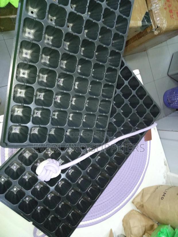 Organized Seed Germination Trays - Wholesale - main view