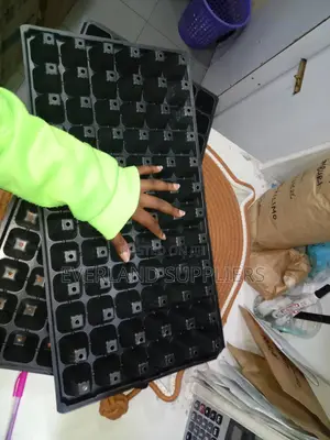 Deep Nursery Cell Seedling Tray - Wholesale