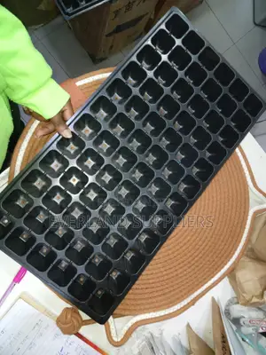 Seedling Raising Trays - Wholesale