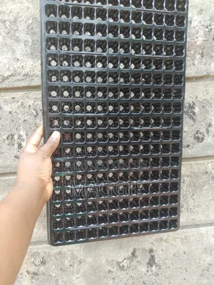Seedlings Trays