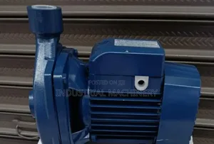 Portable Pedrollo Booster Water Pump 0.5