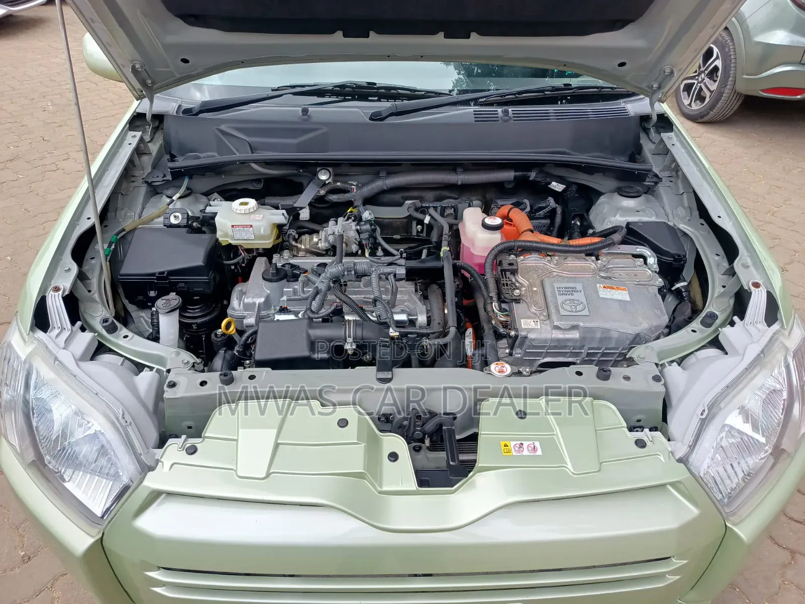 Toyota Succeed 2019 Green