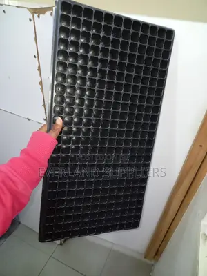 Seedling Success Trays - Wholesale
