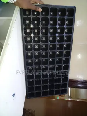 Seed Germination Seedling Trays - Wholesale