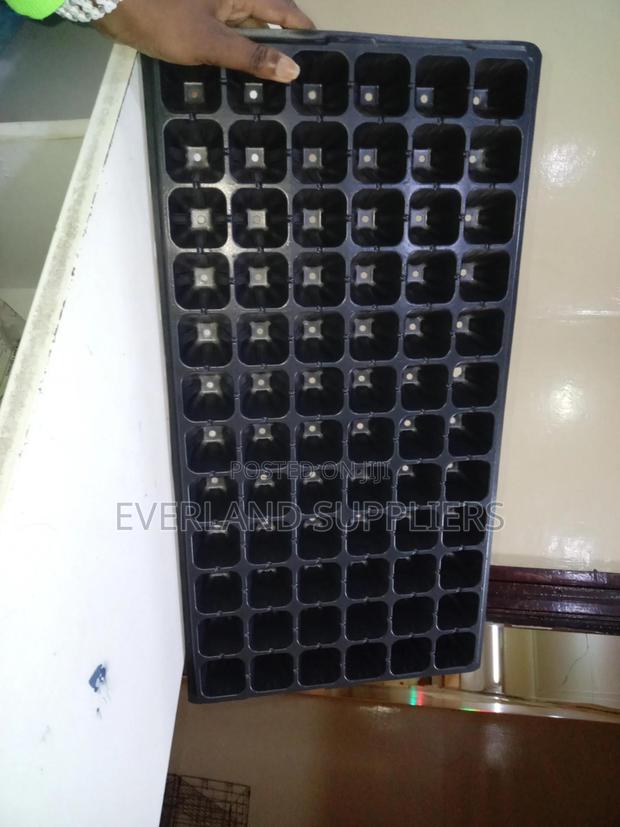 Seed Germination Seedling Trays - Wholesale - main view
