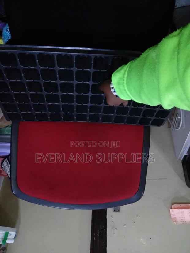 Stackable Seedling Trays - Wholesale - main view
