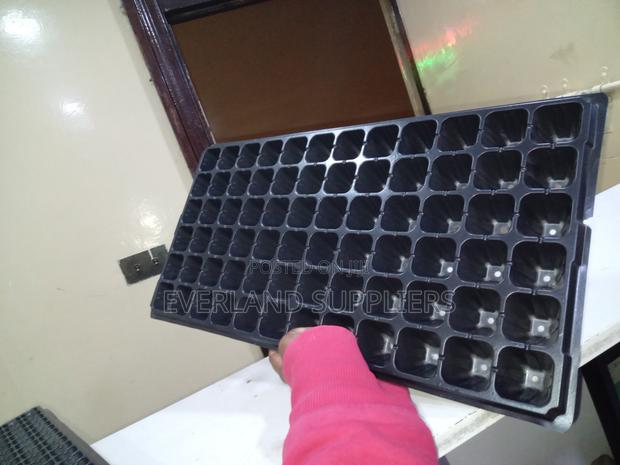 Seedling Sorting Trays - Wholesale - main view