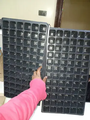 Plant Raising Cell Seedling Trays - Wholesale