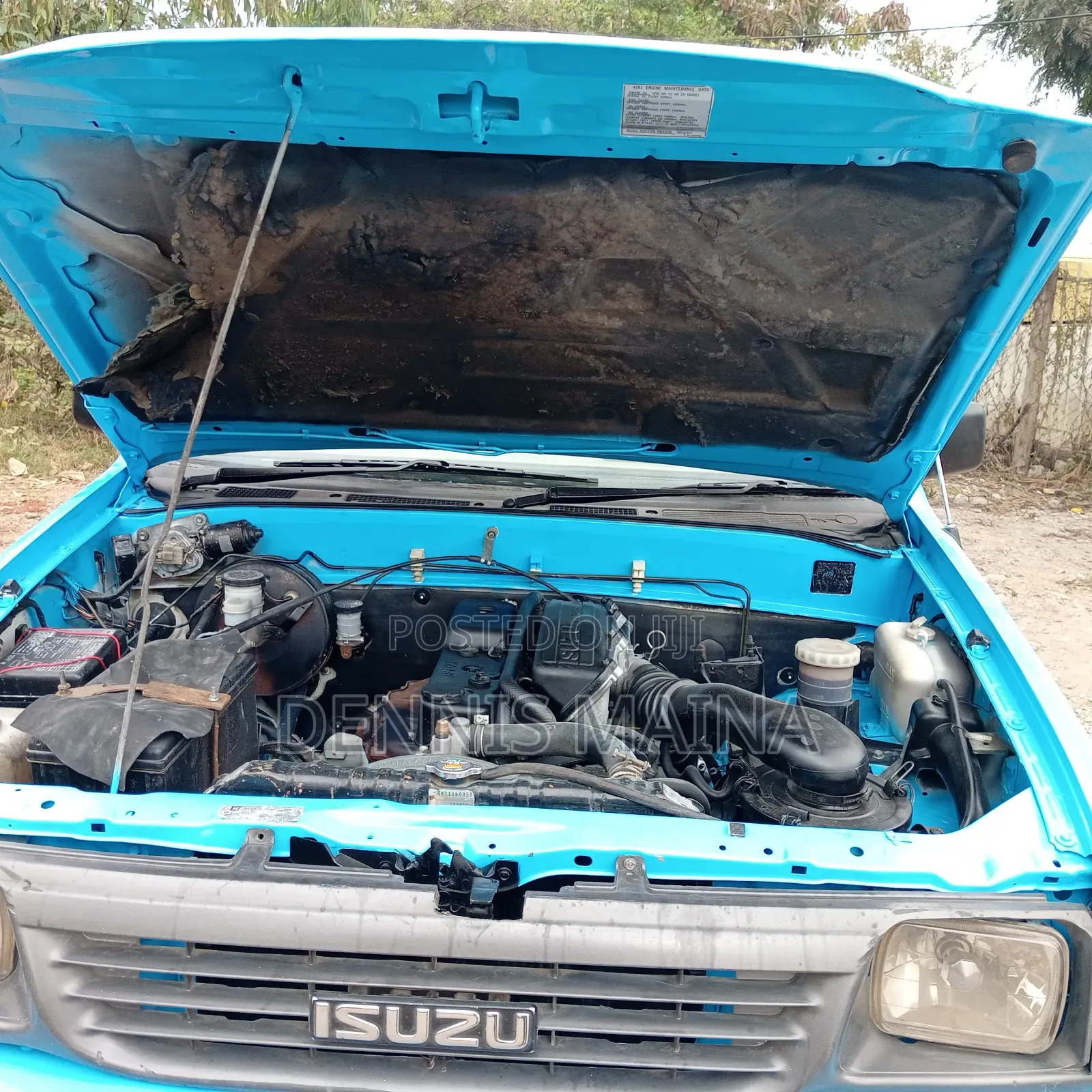 Isuzu Tougher 2001 Blue