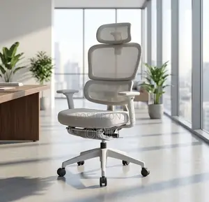 Office Chair : Orthopedic Workspace Gray Chair