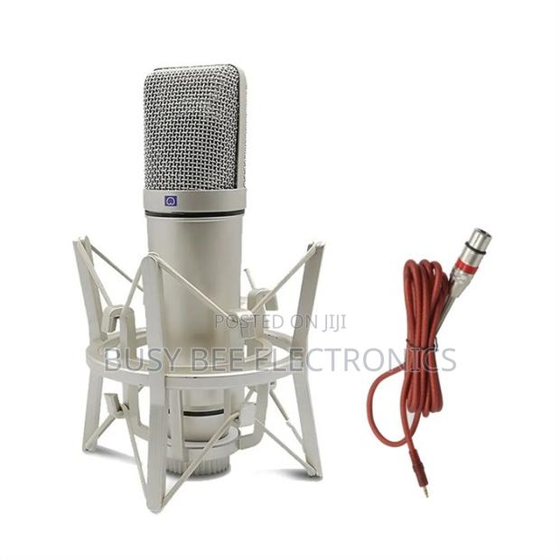 Professional XLR Condenser Studio Microphone Cardioid Large Diaphragm - thumbnail 3
