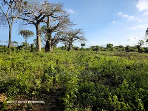Prime Quarter Acre Plots Up for Sale in Galu Near Almanara Cottages