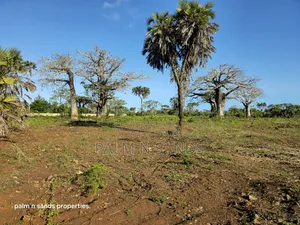 Prime Quarter Acre Plots Up for Sale in Galu Near Almanara Cottages