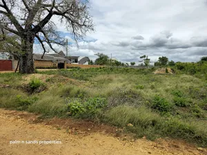 Prime Plot Available for Sale in Galu Near Amani Luxury Villas