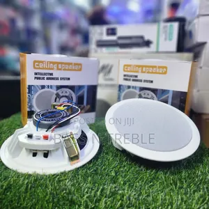 Ceiling Speakers