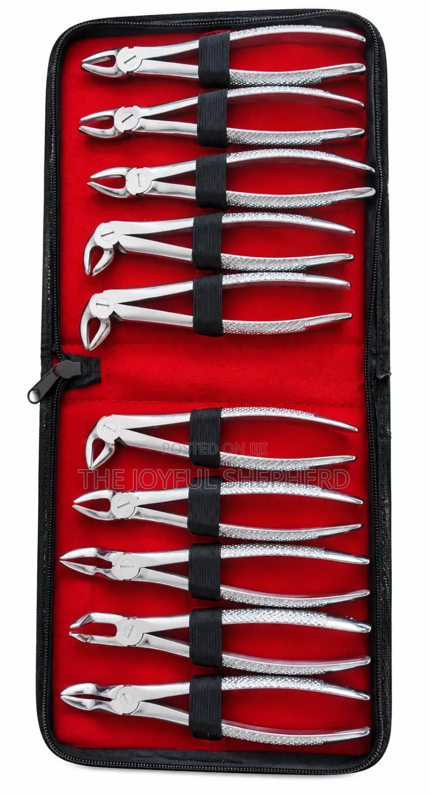 Dental Extraction Set