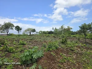 One Acre Second Row Beach Near Almond Ridge Diani