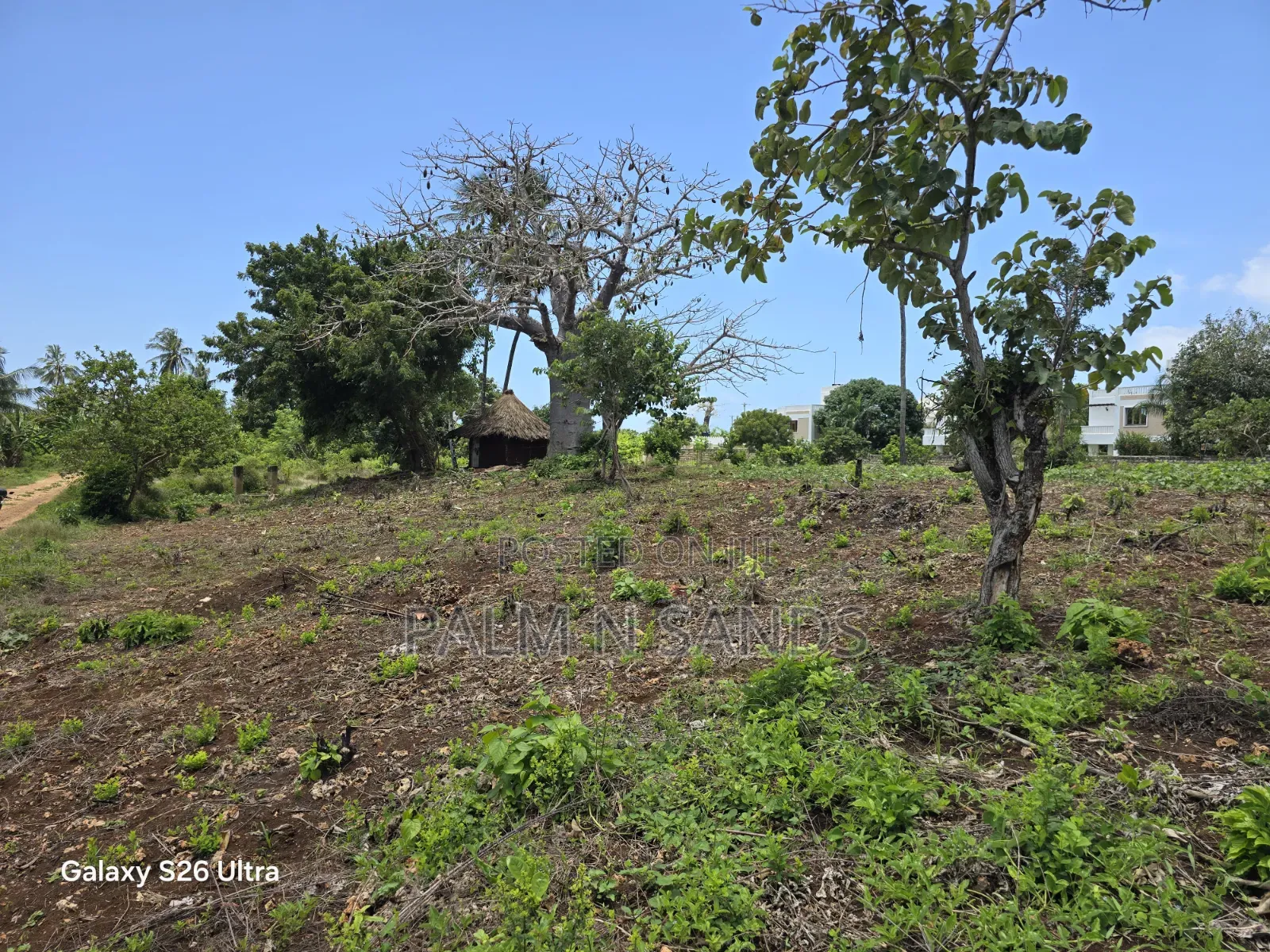 One Acre Second Row Beach Near Almond Ridge Diani