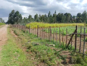5 Acres on Sale at Kasuku Weru Nyandarua County
